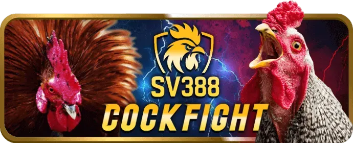 Cá cược thể thao tại 888vnd casino